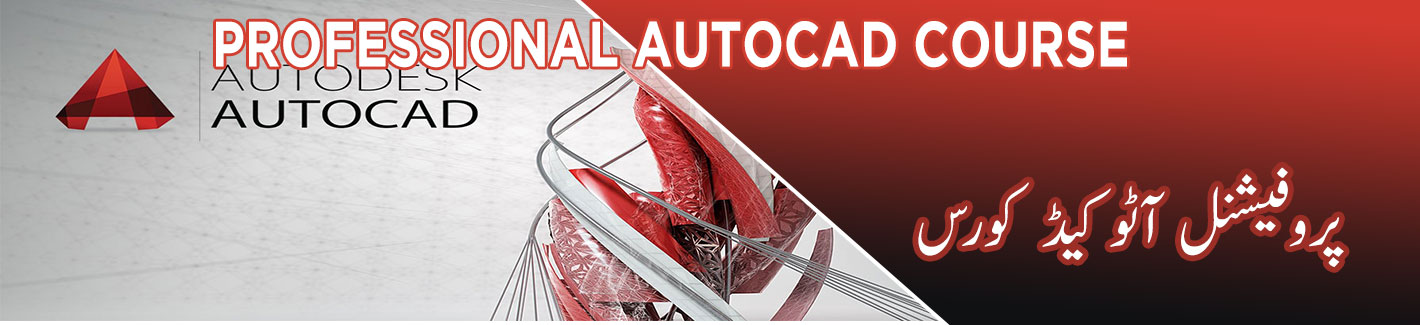professional autocad course multan