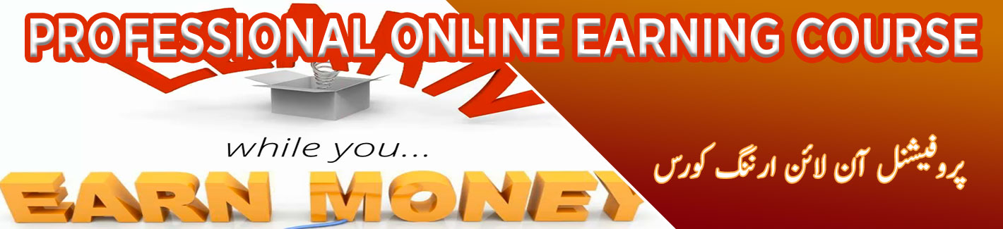 professional online earning course multan