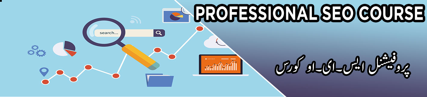 professional seo course multan